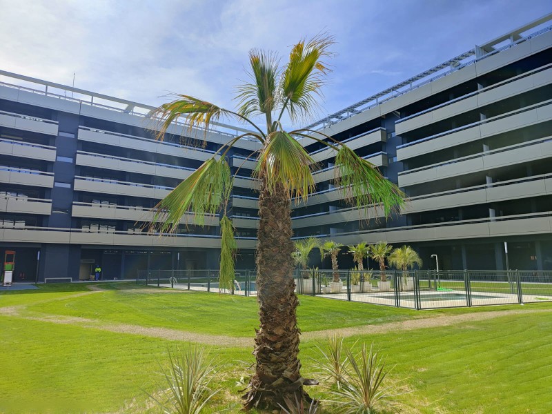 Zona común del Residencial Camellia Garden