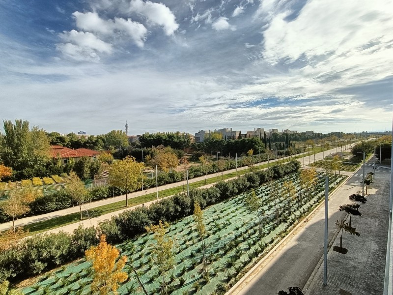 Entorno del Anillo Verde, Zaragoza, donde se ubica el Residencial Camellia Garden