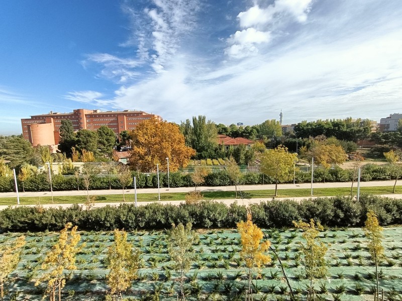 Entorno del Anillo Verde, Zaragoza, donde se ubica el Residencial Camellia Garden